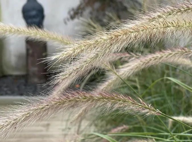 L'atelier Du Charmois