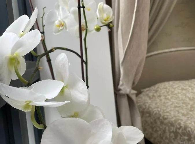 Bed & Breakfast L'atelier Du Charmois *