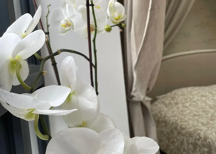 L'atelier Du Charmois Oda ve Kahvaltı *